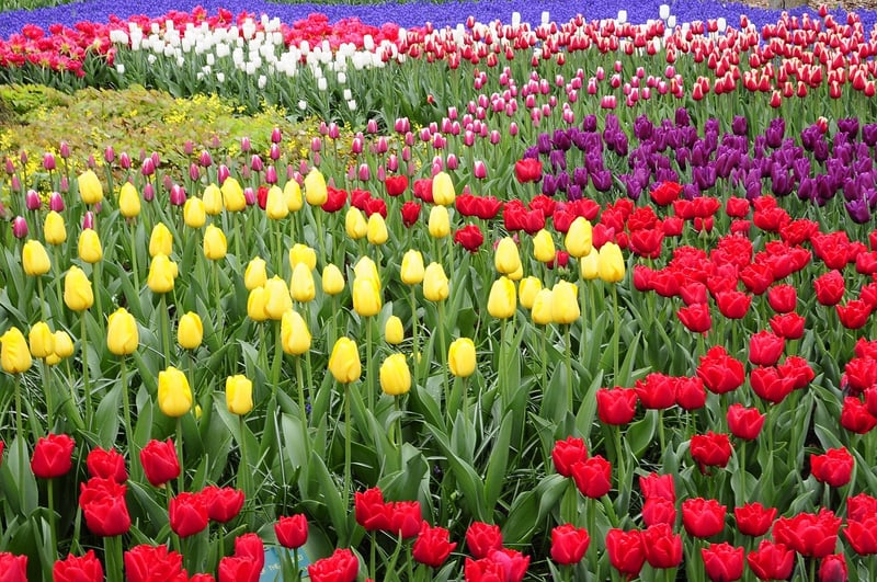 Netherlands